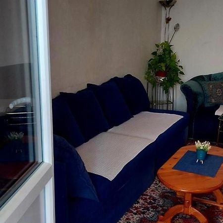 Apartment Alipasino Sarajevo Bagian luar foto